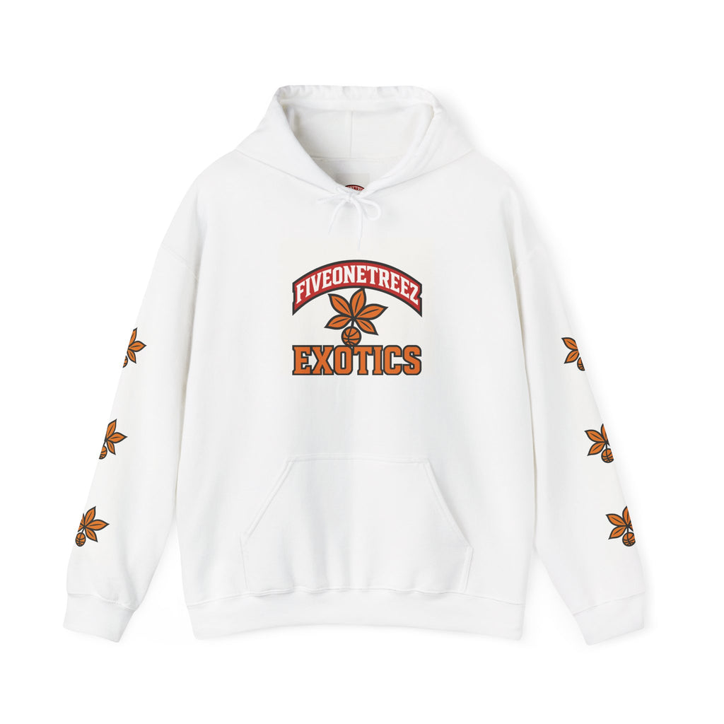 Unisex Heavy Blend™ Hooded Sweatshirt